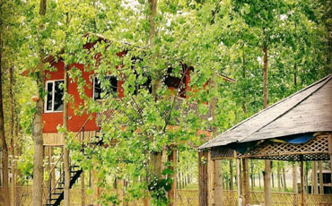 Tree House at Chahal Farm
